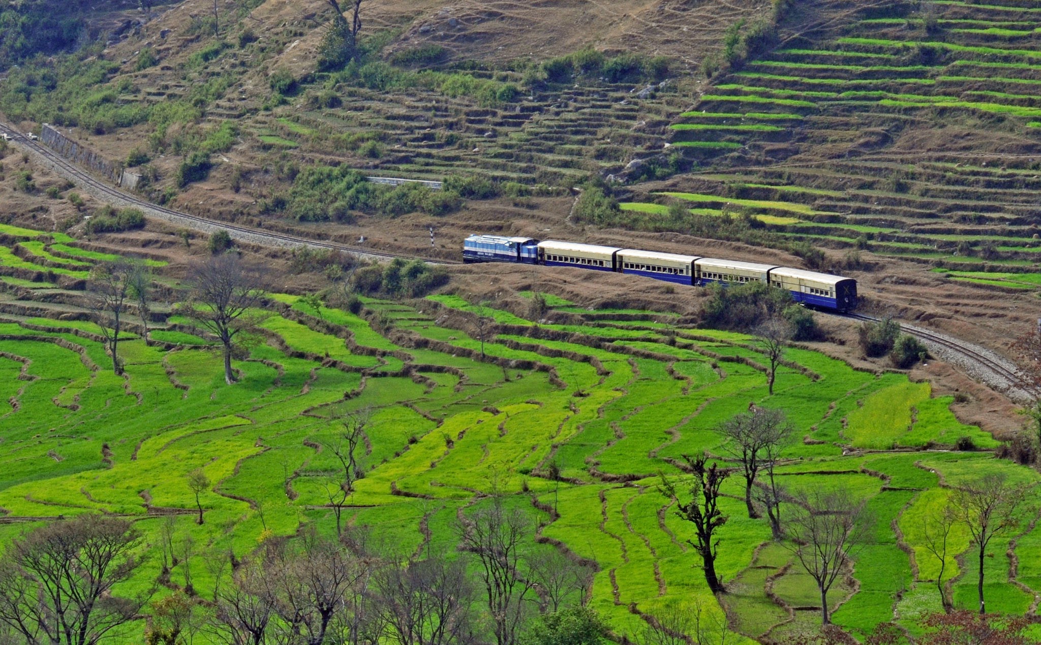 जोगिंदर नगर joginder nagar
